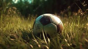 Thể Thao Bin88 – Điểm Đến Cá Cược Đỉnh Cao Cho Người Yêu Thể Thao